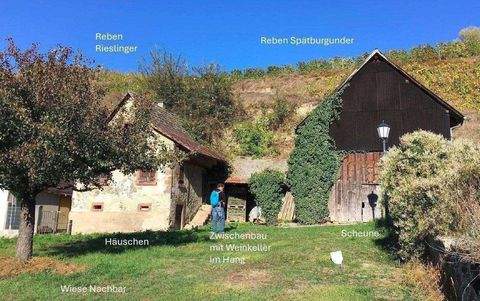 Freiburg im Breisgau Bauernhöfe, Landwirtschaft, Freiburg im Breisgau Forstwirtschaft