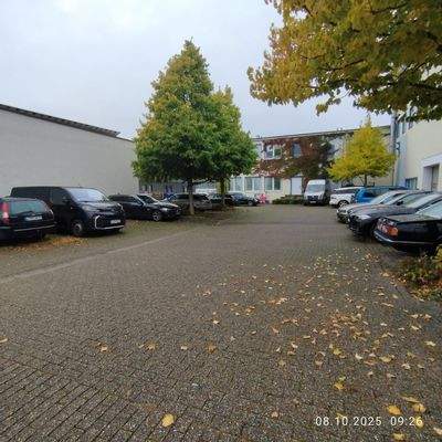 WhatsApp Image 2025-10-08 at 10.44.11.jpeg