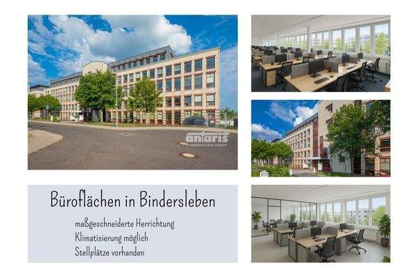 Internetbild MBS 5 - 04