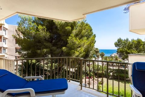 Calvi? Wohnungen, Calvi? Wohnung kaufen