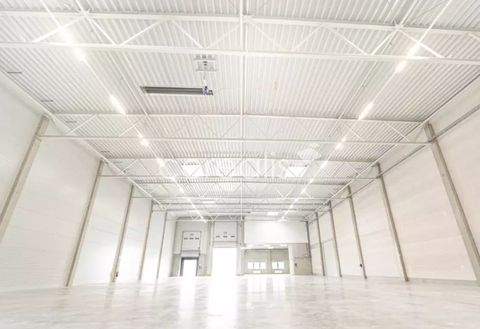 Essen Halle, Essen Hallenfläche