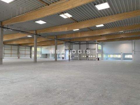 Wuppertal Halle, Wuppertal Hallenfläche