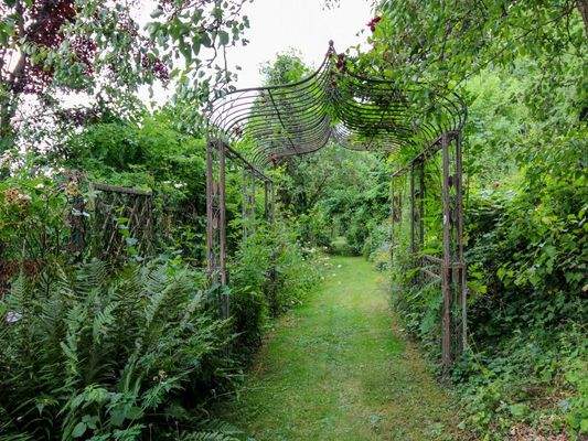 Impressionen Garten (1)