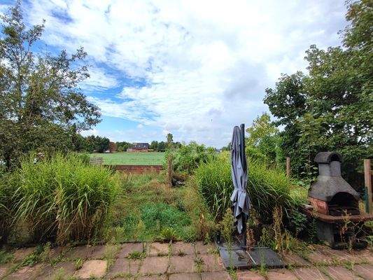 Garten (derzeitiger Zustand)