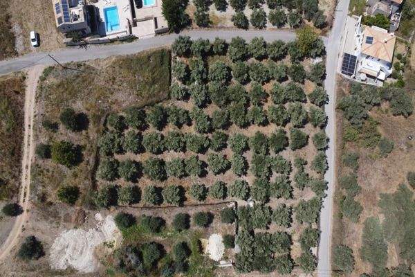 Kreta, Kournas: Eckgrundstück nahe des Kournas-Sees zu verkaufen