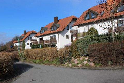 Wachau OT Seifersdorf Wohnungen, Wachau OT Seifersdorf Wohnung mieten