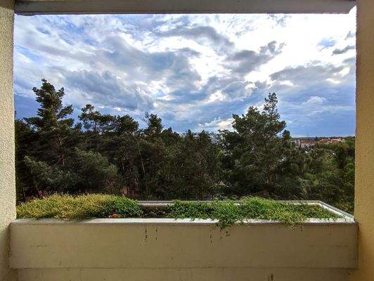 Ausblick vom Balkon