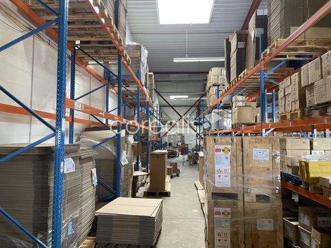 Düsseldorf Halle, Düsseldorf Hallenfläche