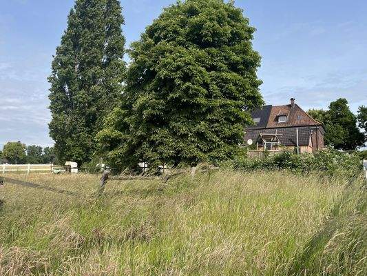 rückwärtige Ansicht