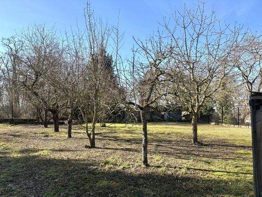 großzügiger Garten