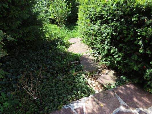 17 Treppe linke Seite vom Garten.JPG
