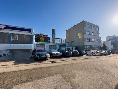 Ostfildern Halle, Ostfildern Hallenfläche