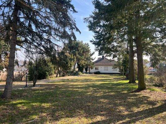 Blick aufs Grundstück und Haus