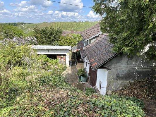 Ausblick auf die Weinberge ... und noch weiter!
