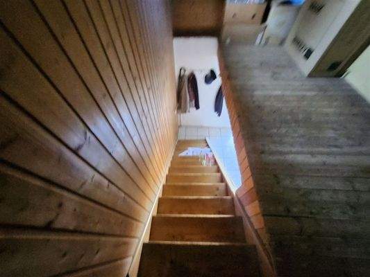 Ansicht Abstieg in EG