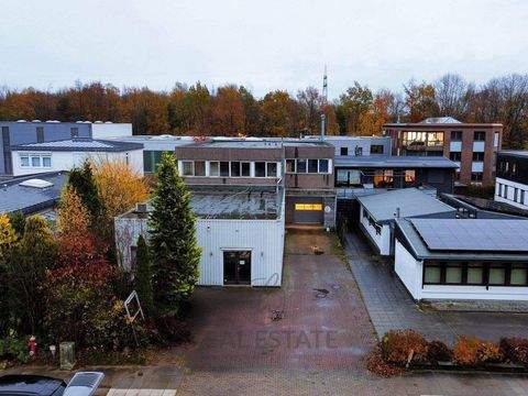 Norderstedt Halle, Norderstedt Hallenfläche