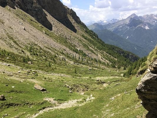 Einzigartig: Alm- und Waldeigentum samt potenzieller Jagdmöglichkeit am Brenner - Südtirol