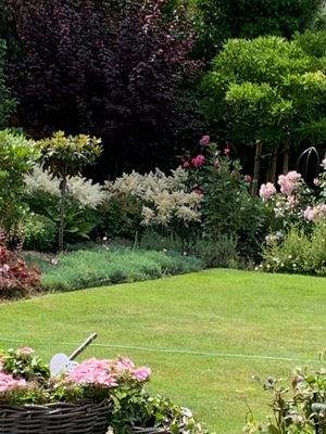 Sommerimpression 2025