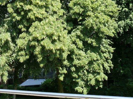 Blick von der Dachterrasse