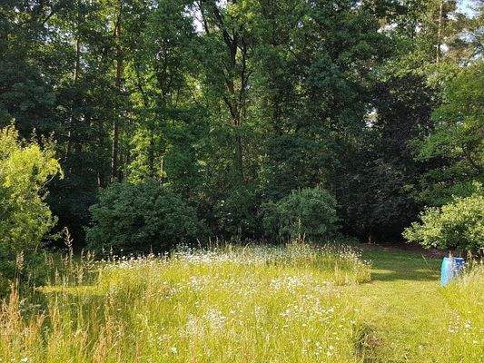 Garten zum Wald.jpg
