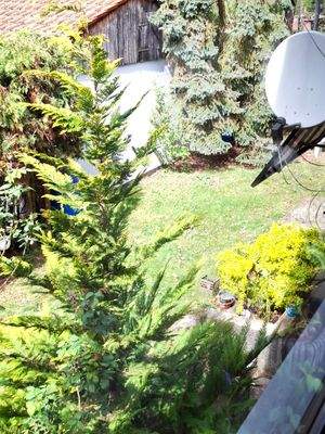 Westblick zum Garten