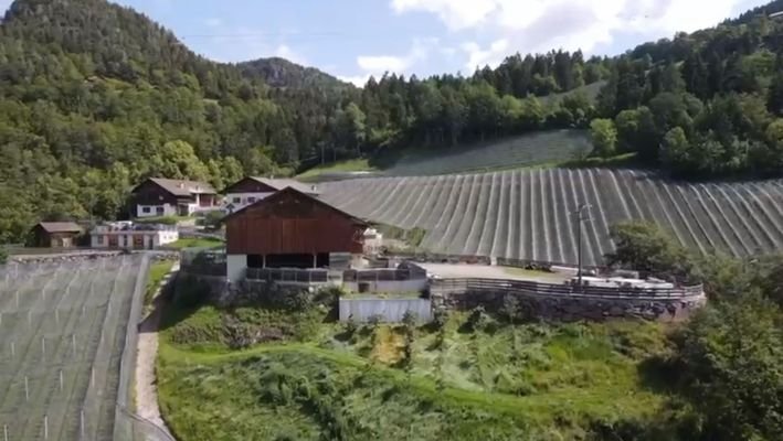 Vöran-Hof-traumhafteAussicht-Ruhe-Äpfel-Wiese-Kastanien-Südtirol-Meraner-Land-Stall-Scheune-Mühle-Beregnugn-Wasserspeicherbecken-Witschaftsgebäude-Bauernhof