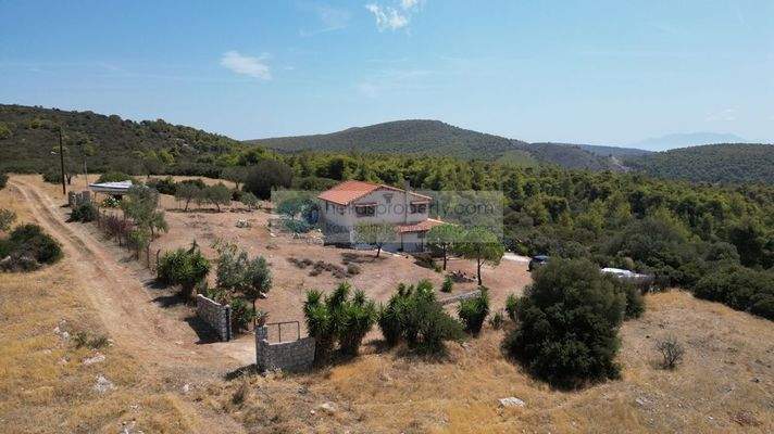 223e7dc812784154b22911193b637ceb-original