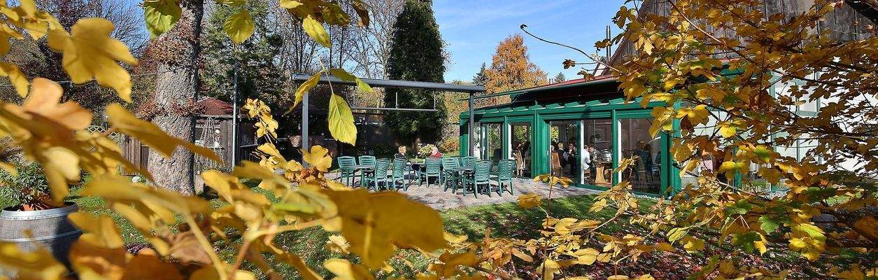 322BlickdurchBaeumeaufTerasse