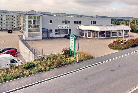 Oelsnitz Halle, Oelsnitz Hallenfläche