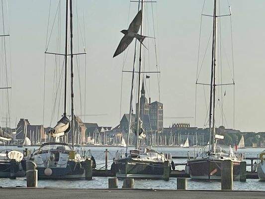Hafen Altefähr-Blick auf Stralsund