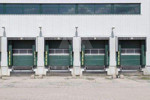 Erlangen Halle, Erlangen Hallenfläche