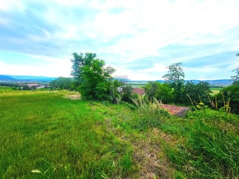 Stetten Bauernhöfe, Landwirtschaft, Stetten Forstwirtschaft