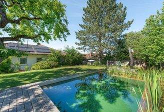 Garten inkl. Naturpool