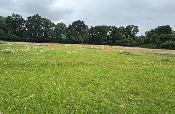 Bildschirmfoto 2025-08-24 um 12.18.04.png