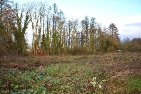 Nettetal Grundstücke, Nettetal Grundstück kaufen