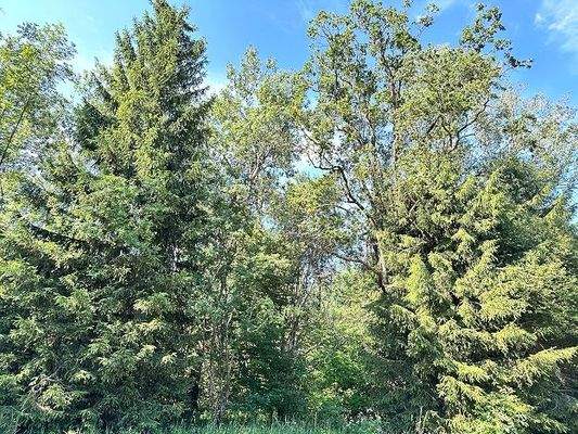 20250625_074030980_iOS