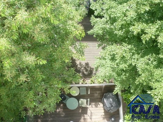 Blick in den Garten