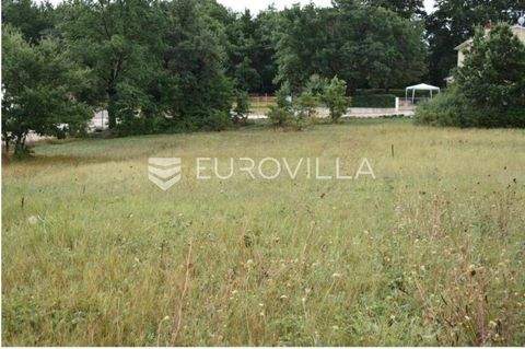 Svetvincenat Bauernhöfe, Landwirtschaft, Svetvincenat Forstwirtschaft