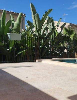 Eingewachsene Terrasse