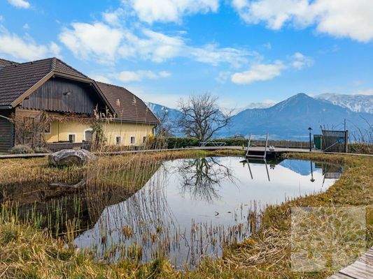 Schwimmteich im Herbst