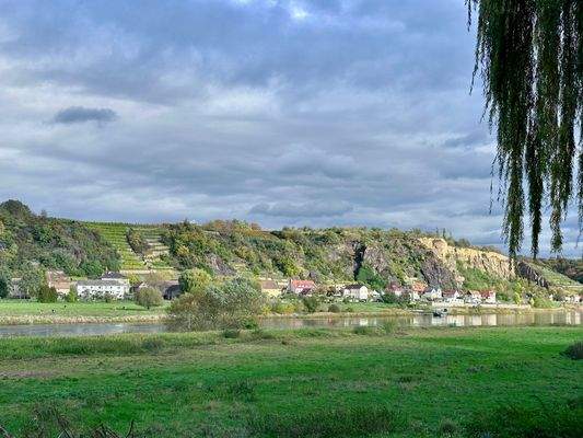 Blick zu den Weinhängen und Elbe