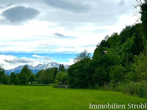 Salzburg(Stadt) Grundstücke, Salzburg(Stadt) Grundstück pachten