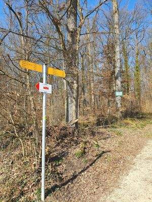 46 Wanderschild in 250 m.jpg