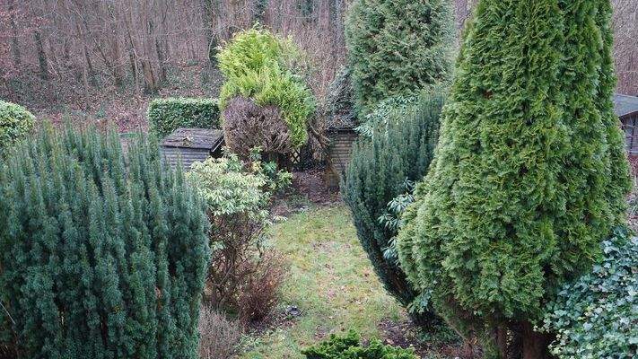 Ihr Garten liegt direkt am Wald