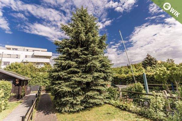 Grünes Grundstück...