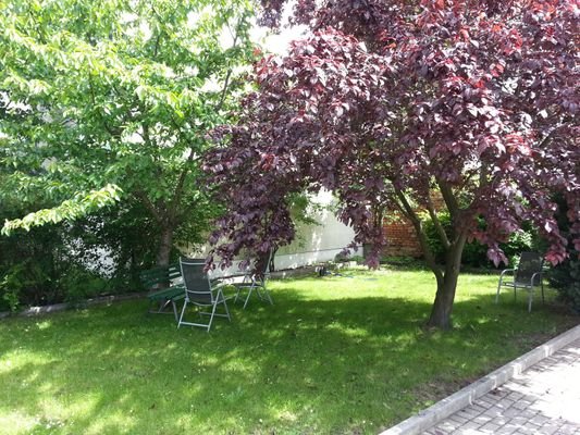 Gemeinschaftsgarten