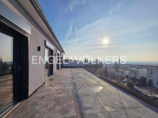 Dachterrasse (Dachgeschoss)