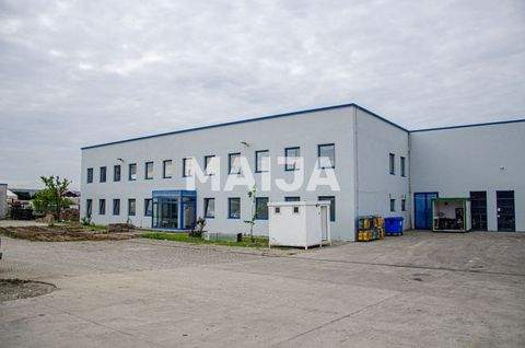 Craiova Büros, Büroräume, Büroflächen 