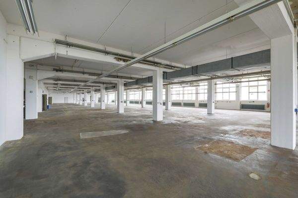 Gewerbefläche / Halle EG