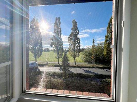 Blick aus dem Fenster